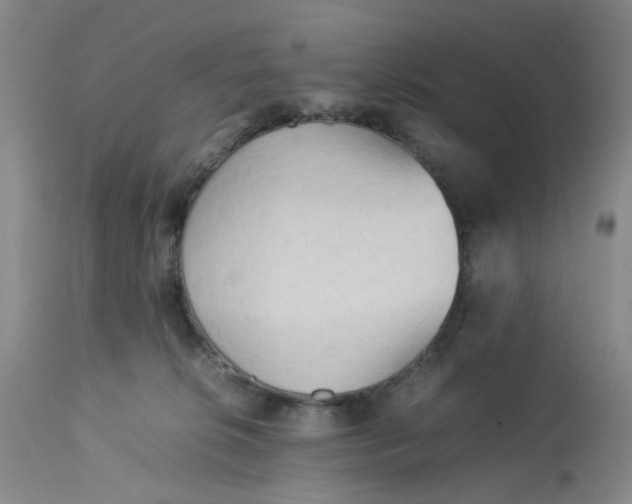 X0000113220276200910011353