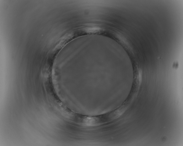 X0000113220277200910011353