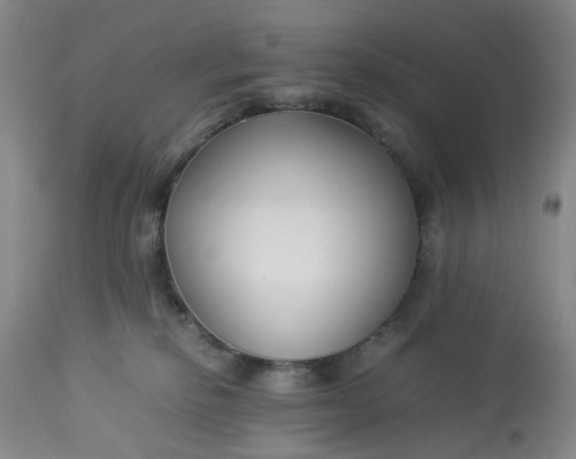 X0000113220278200910011353