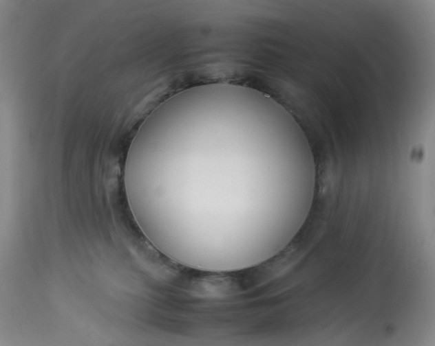 X0000113220279200910011353