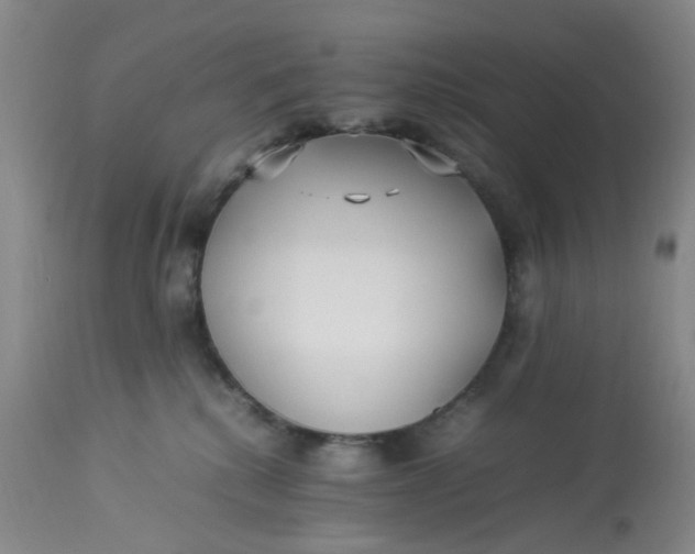 X0000113220280200910011353