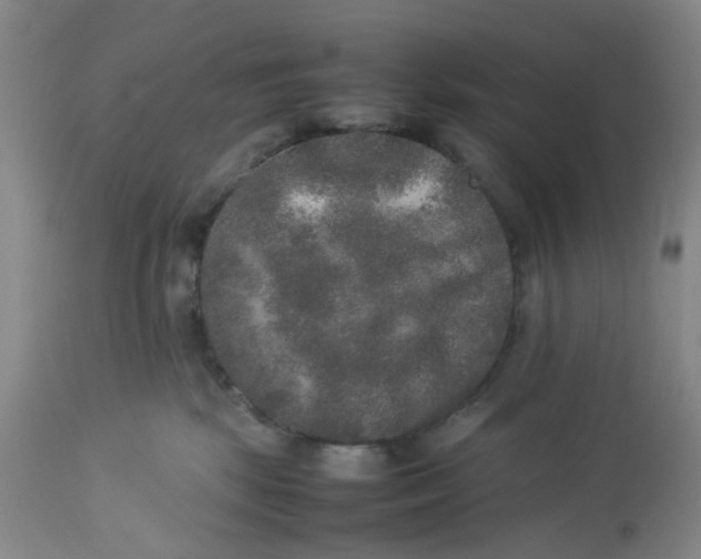 X0000113220281200910011353