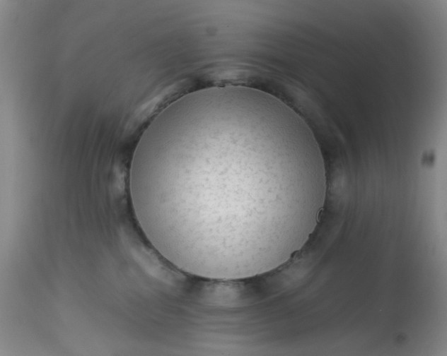 X0000113220282200910011353