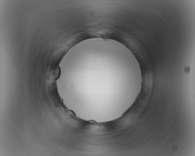 X0000113220284200910011353