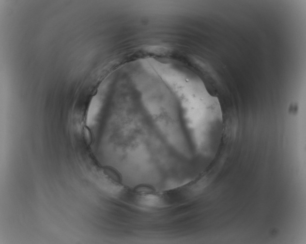 X0000113220285200910011353