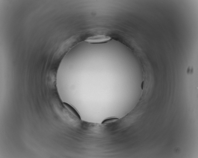 X0000113220288200910011353
