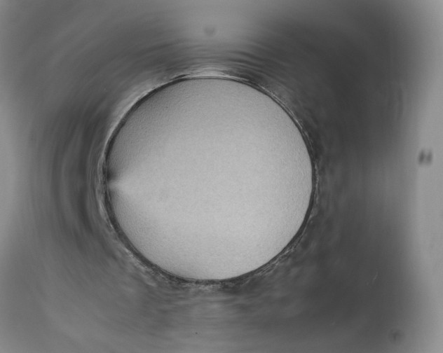 X0000113220289200910011352