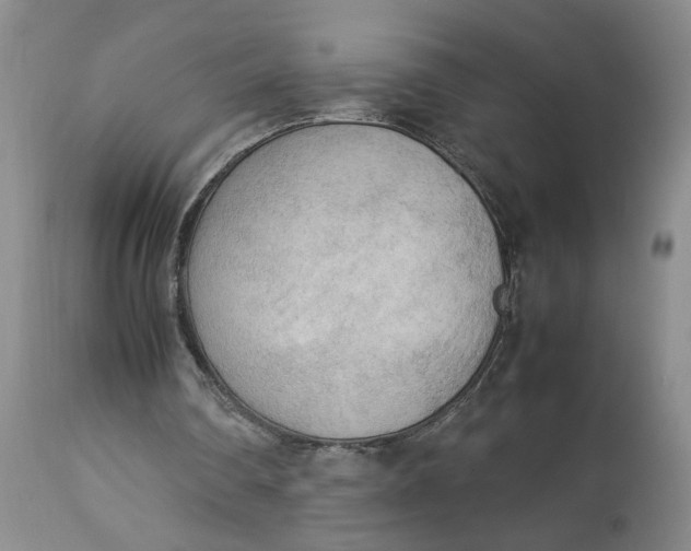 X0000113220290200910011352