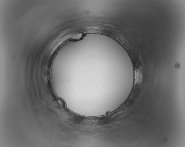 X0000113220291200910011352