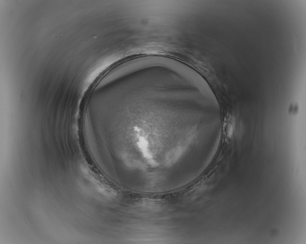 X0000113220292200910011352