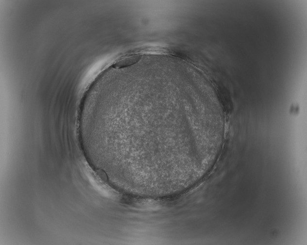 X0000113220293200910011352