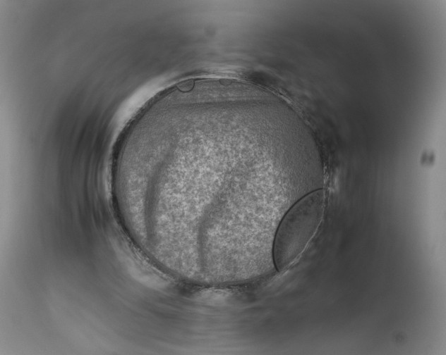 X0000113220294200910011352