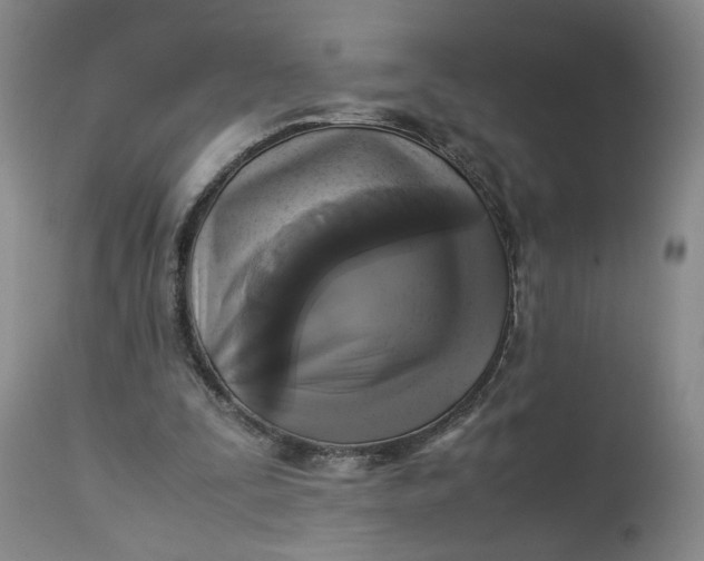 X0000113220295200910011352