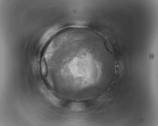 X0000113220296200910011352