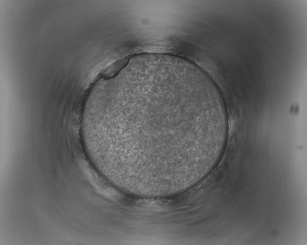 X0000113220297200910011352