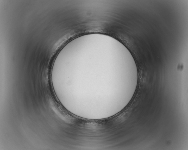 X0000113220298200910011352