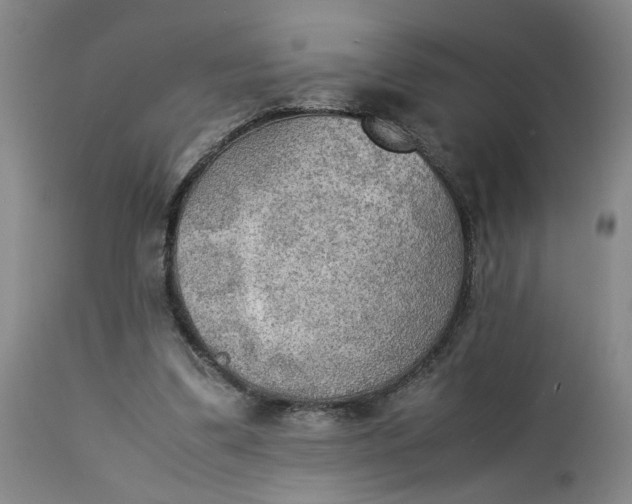 X0000113220299200910011352