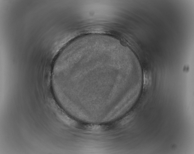 X0000113220301200910011352