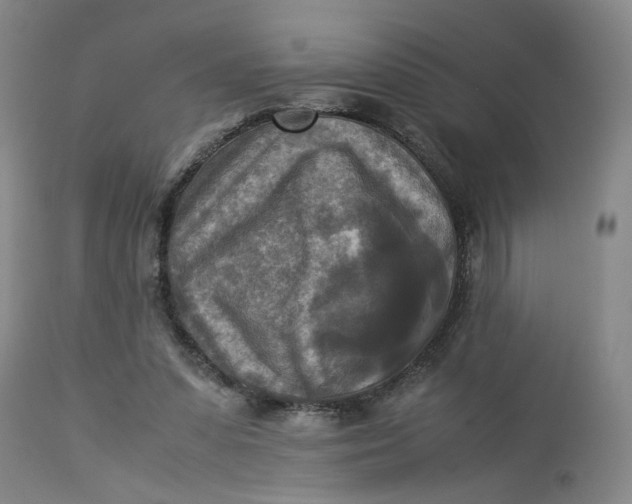 X0000113220303200910011352