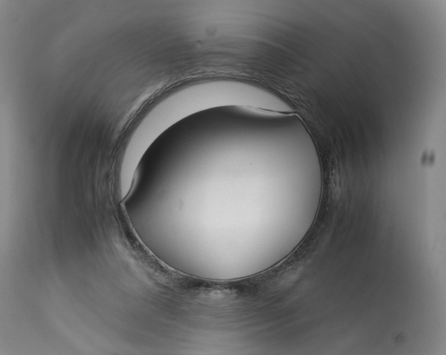 X0000113220304200910011352