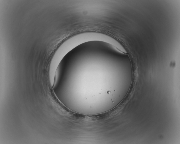 X0000113220305200910011352