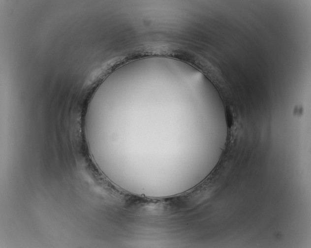 X0000113220306200910011352