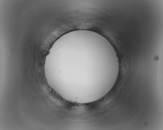 X0000113220307200910011352