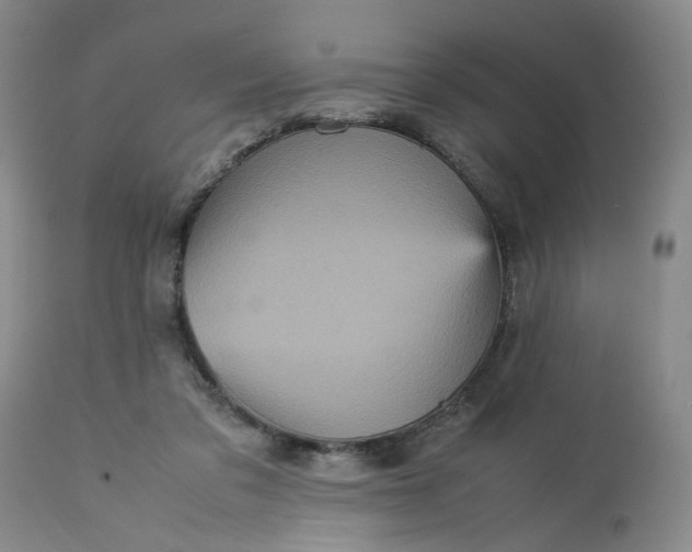 X0000113220309200910011352