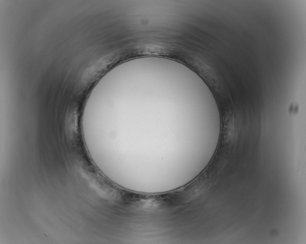 X0000113220310200910011352