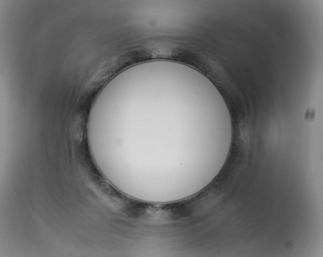 X0000113220311200910011352