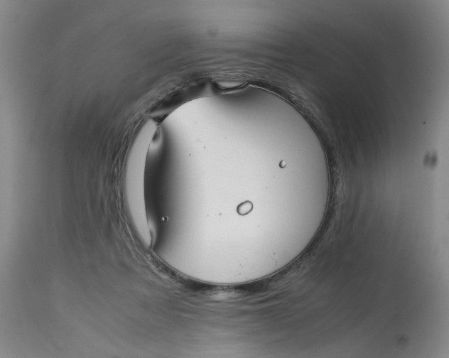 X0000113220313200910011352