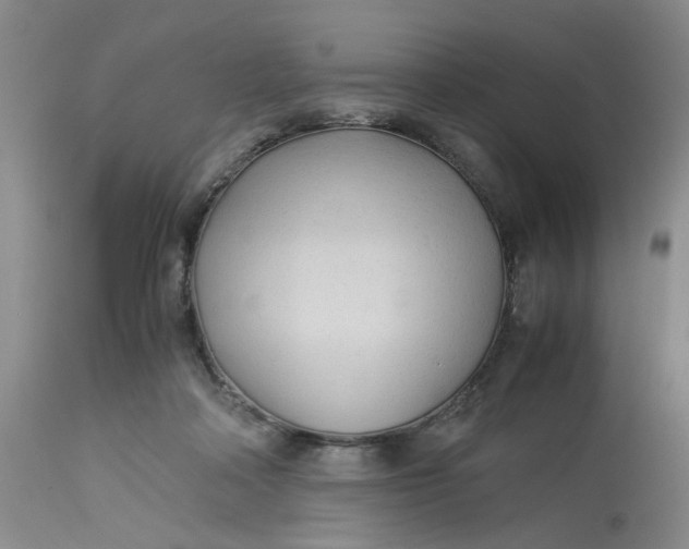 X0000113220314200910011351