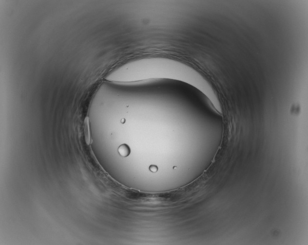 X0000113220316200910011351