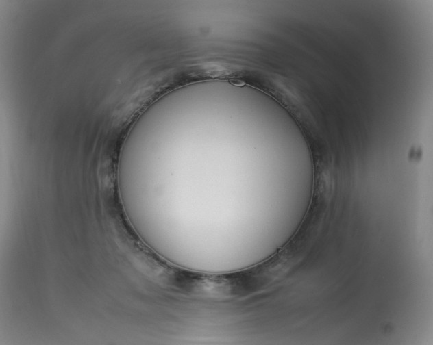 X0000113220317200910011351