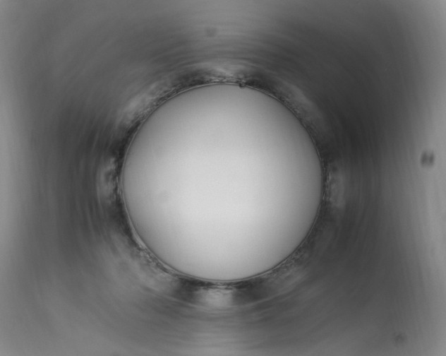 X0000113220318200910011351