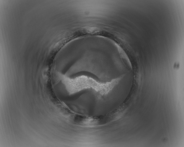 X0000113220319200910011351