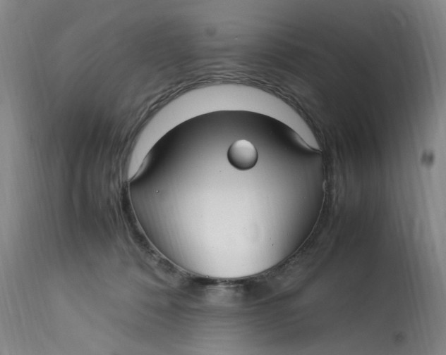 X0000113220320200910011351