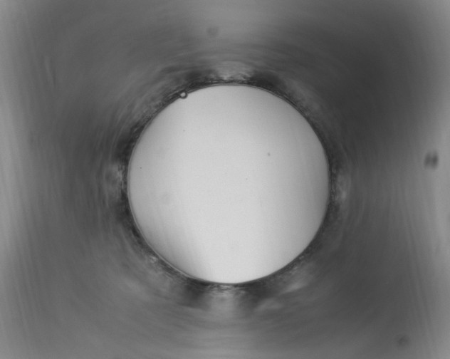 X0000113220321200910011351