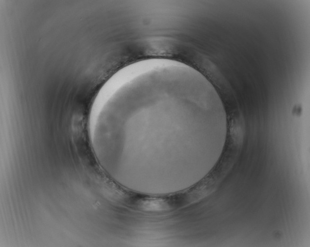 X0000113220322200910011351