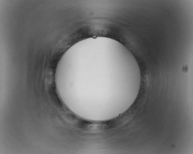 X0000113220323200910011351