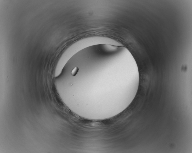 X0000113220324200910011351