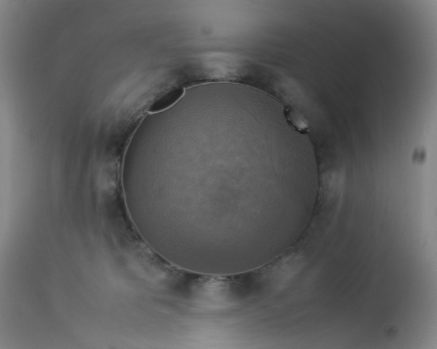 X0000113220325200910011351