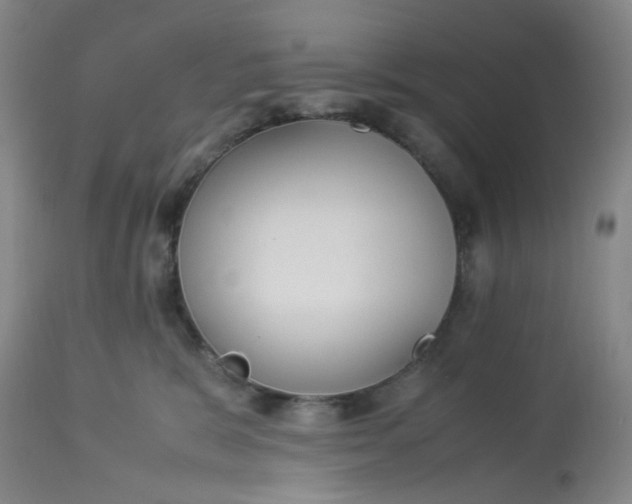 X0000113220327200910011351