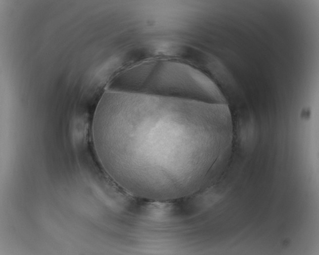 X0000113220328200910011351