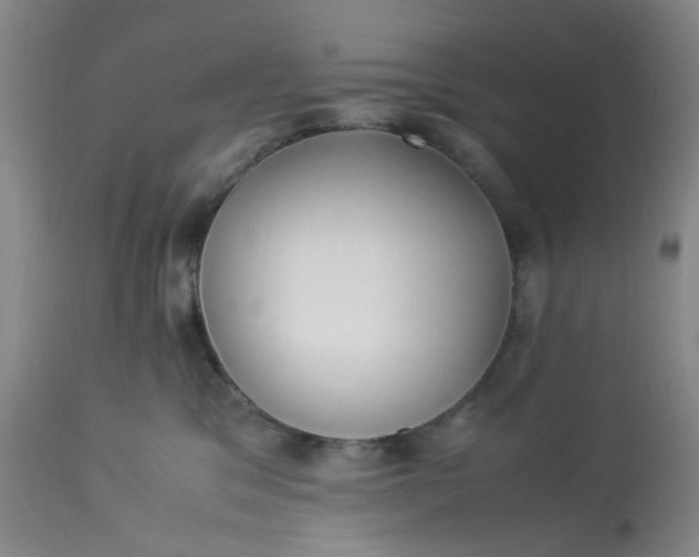 X0000113220329200910011351