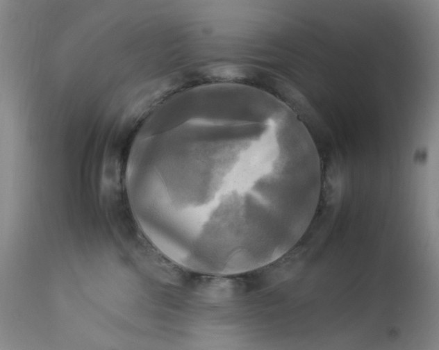 X0000113220330200910011351