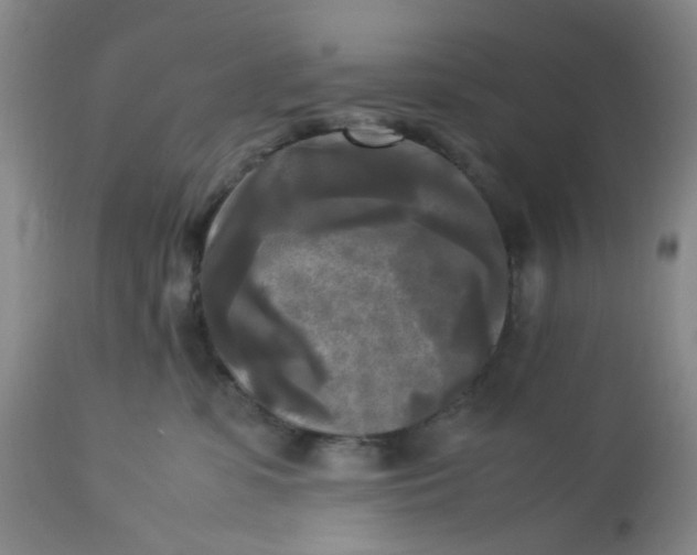 X0000113220331200910011351