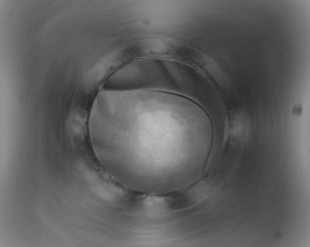 X0000113220332200910011351