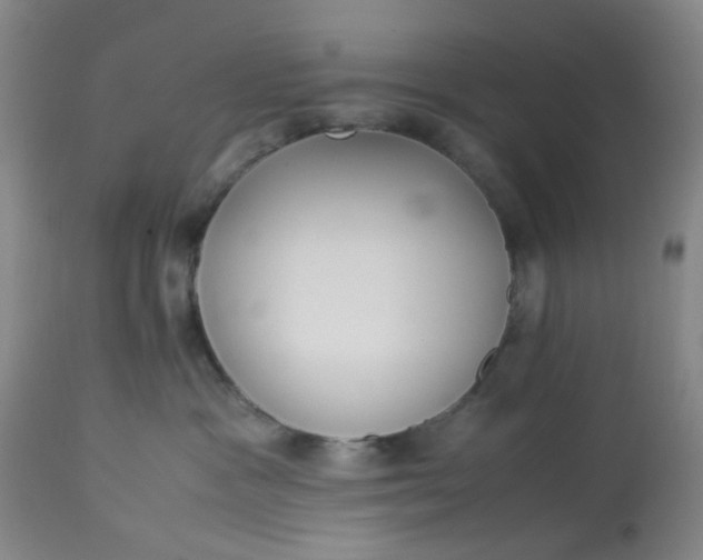 X0000113220333200910011351