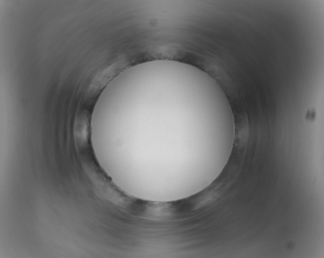 X0000113220334200910011351